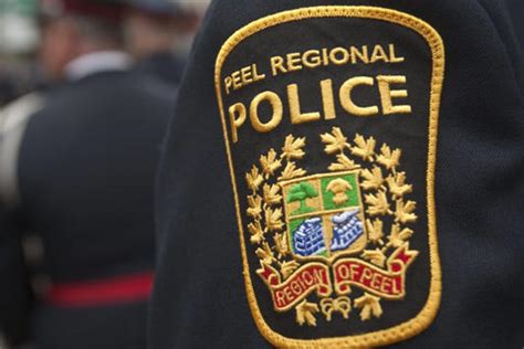 22 Stolen Vehicles Worth 19m Recovered 6 People Charged Peel Police Daytimepost