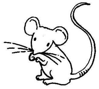 Free Mouse Clipart Black And White, Download Free Mouse Clipart Black ...