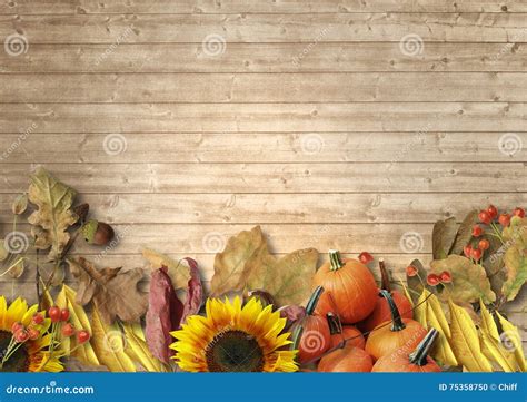 19,323 Harvest Sunflowers Stock Photos - Free & Royalty-Free Stock ...