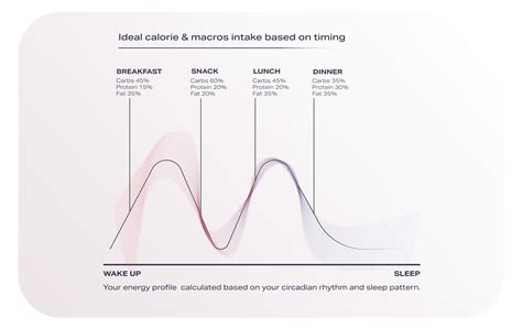 Why Timing Your Meal Matters Pnoe