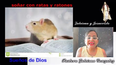 So Ar Con Ratones O Ratas Significado De Los Sue Os De Dios Con