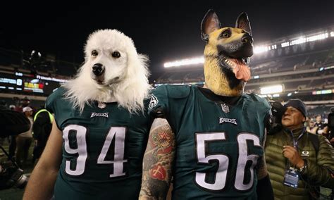 Why Are Eagles Fans Wearing Dog Masks? The Reason Is Straightforward