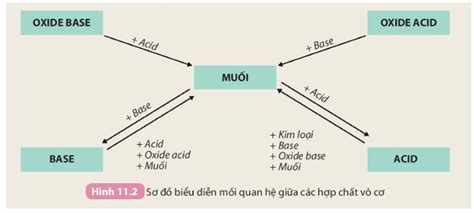 Tính chất hoá học của các hợp chất vô cơ được tóm tắt bằng sơ đồ dưới