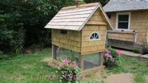 Diy Quail Hutch Ideas And Designs