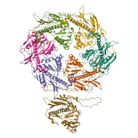 Rcsb Pdb Via Focused Refinement Of Asymmetric Unit Of Bacteriophage