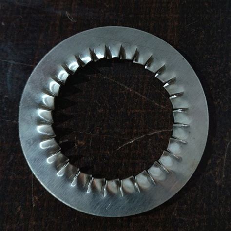 Serrated Lock Washer At Best Price In India