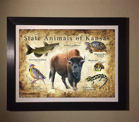 Kansas State Animals Poster Print | Etsy