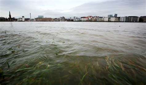 Nrw Hochwasser Pegelst Nde Am Rhein In Nrw Klettern Weiter Nach Oben