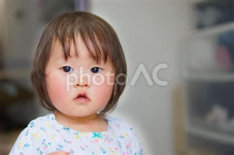 こちらを見つめる子ども フリー素材無料素材写真イメージ No 3466289｜写真素材なら「写真ac」無料（フリー）ダウンロードok