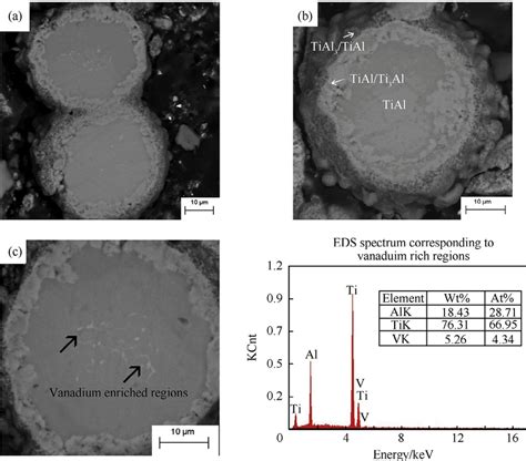 Sem Bse Micrograph Of The As Polished Cross Section Of A Sample Download Scientific Diagram