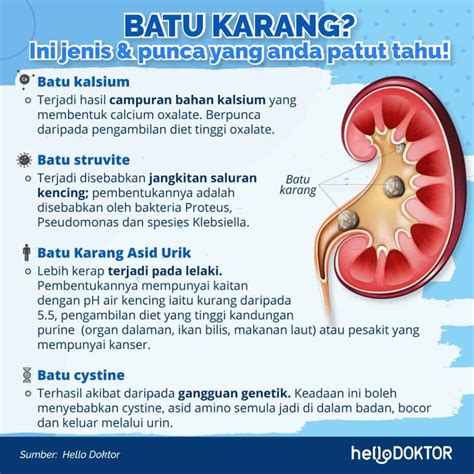 Penyakit Kencing Batu Karang Ini Semua Info Yang Anda Perlu Tahu