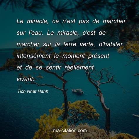 Le Miracle Ce N Est Pas De Marcher Sur L Eau Le Miracle C Est De