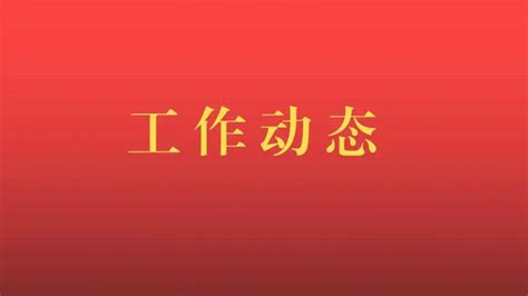 坚持刀刃向内 强化自我革命——市政府办高标准严要求推进“四心”作风问题教育整顿 工作 服务 查纠