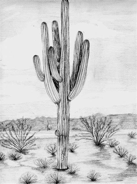 Saguaro Cactus Sketch at PaintingValley.com | Explore collection of ...