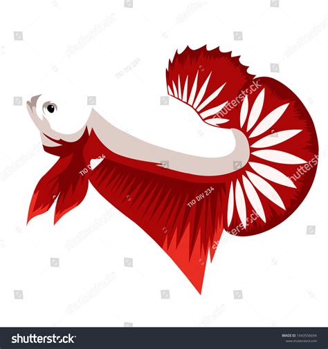 Ikan cupang Images, Stock Photos & Vectors | Shutterstock