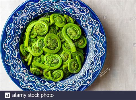 Fiddleheads Of Ferns High Resolution Stock Photography And Images Alamy