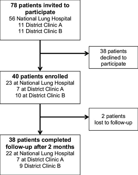 Flow Diagram Showing Participation And Follow Up During Adherence