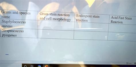 Solved Genus And Species Name Staphylococcus Aureus Streptococcus