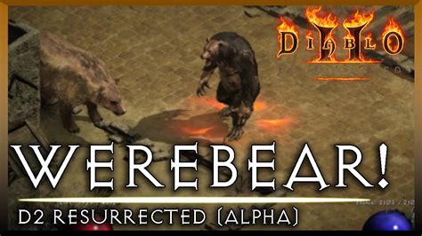 Werebear Graphics In Diablo 2 Resurrected D2r Youtube