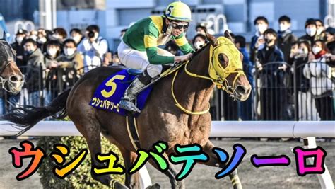 日本テレビ盃jpng2🐎9月27日船橋競馬場🏇万馬券的中🎯｜ボヘミアン⚾カープatelier Capricorn🐎