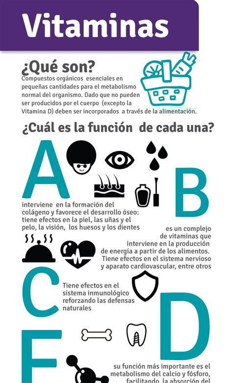 Las Vitaminas Y Sus Funciones