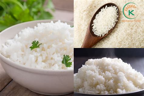 Incorporating white rice calories into a healthy diet - Vietnamricefactory