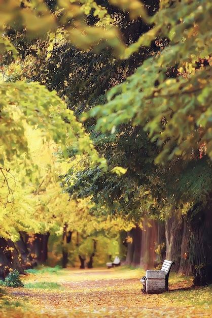 outdoor scene painting images    freepik