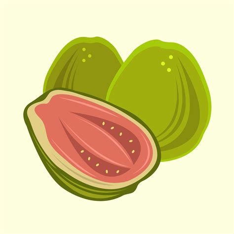 Guava Vector Illustration For Graphic Design And Decorative Element