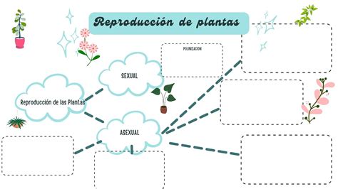 Mapa Mental Reproducci N De Las Plantas Reproduccion De Plantas