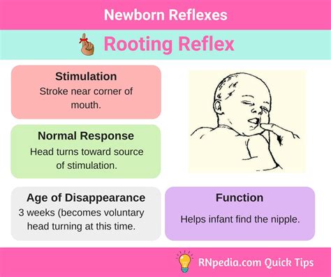 Newborn Reflexes Rnpedia