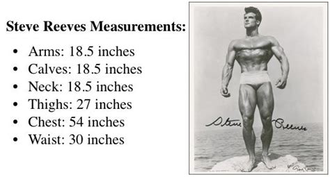 Ideal Measurements For A Bodybuilding Physique — Lee Haywards Total