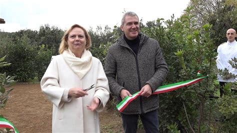 Oasi Aurum Coronarium Storia Natura E Scienza Al Centro Del Nuovo