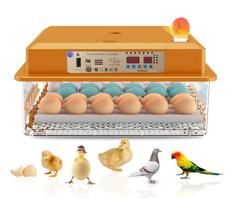 Buy Brooder Chicken Fully Automatic Farm Incubator Eggs Bird Quail