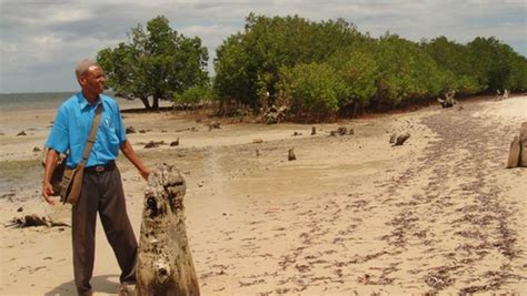 Protecting Mangroves Kenyas Fishermen Net Cash And More Fish Gef