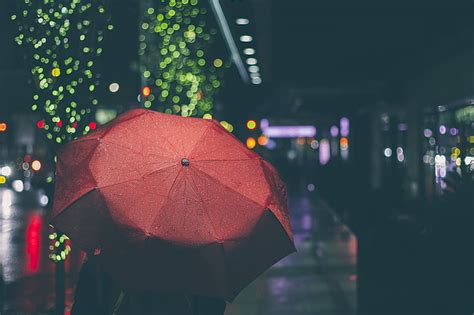 Free Photo Evening Night Rain Raining Rainy Umbrella Hippopx