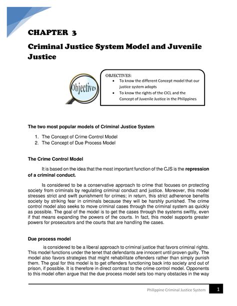 Chapter Criminal Justice System Model And Juvenile Justice Chapter