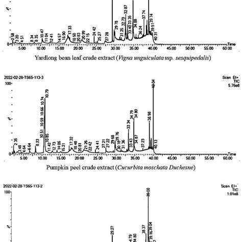 Gc Ms Chromatogram Of Ethanolic Extracts Of Yard Long Bean Leaf