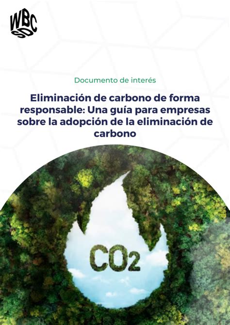 Eliminación De Carbono De Forma Responsable Una Guía Para Empresas Sobre La Adopción De La