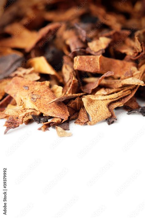 Dry tobacco leaves isolated Stock Photo | Adobe Stock