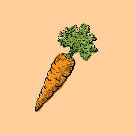 Healthy Food Illustration Series on Behance