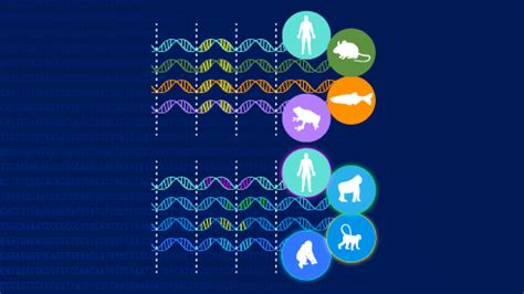 Fact Sheets About Genomics