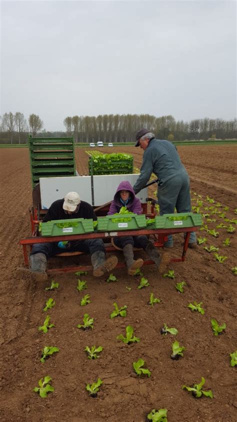 Au Potager de Becheret Vente directe de Fruits Légumes chez le