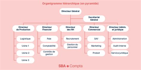 Lorganisation De Lentreprise Les Structures De Lentreprise Cours4you