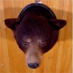 Lot 067_: Black Bear Head Mount