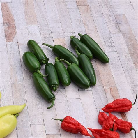 Buy Chillies Or Capsicum Annuum Var Annuum Longum Group Jalapeno