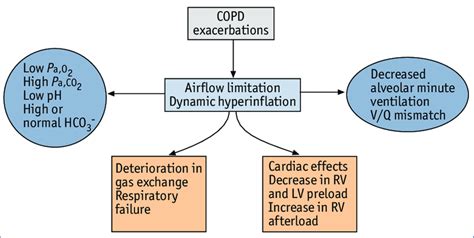 Physiology Of Exacerbations Pa O Arterial Oxygen Tension Pa Co