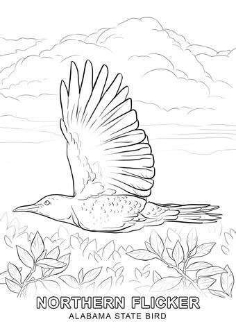 Alabama State Bird coloring page | Free Printable Coloring Pages