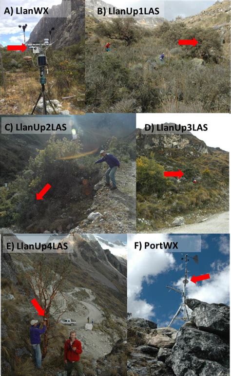 Panels A F Show The Locations Of All Lascar Data Loggers Labeled By