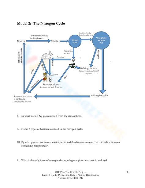 Free Nutrient Cycles Worksheet Collection For Students