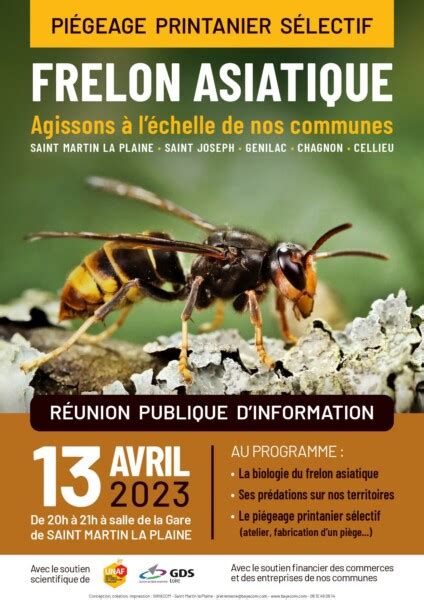 Réunion publique pour lutter contre le frelon asiatique